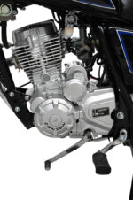 GN 150 - Imagen 2